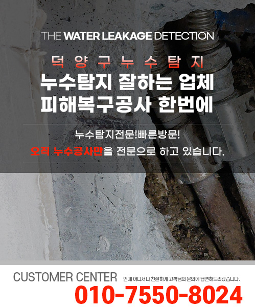 누수탐지 잘하는 업체 피해복구공사 한번에 모바일 비주얼 0